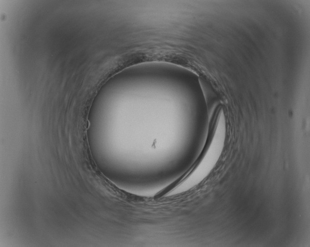 X0000082751153200702091921