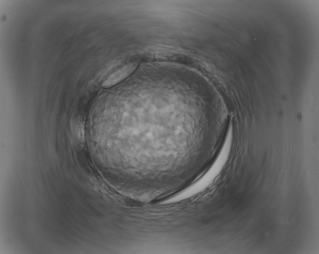 X0000082751155200702091921