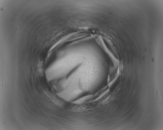 X0000082751156200702091921