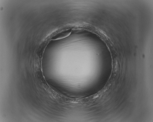 X0000082751158200702091921