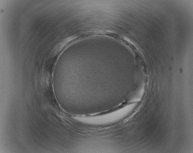 X0000082751161200702091921