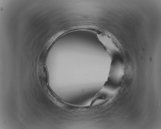 X0000082751177200702091921