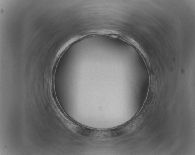 X0000082751187200702091921