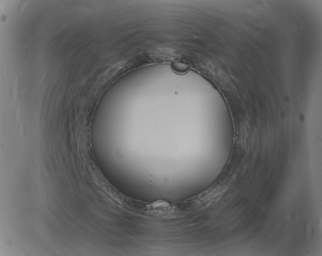 X0000082751201200702091920