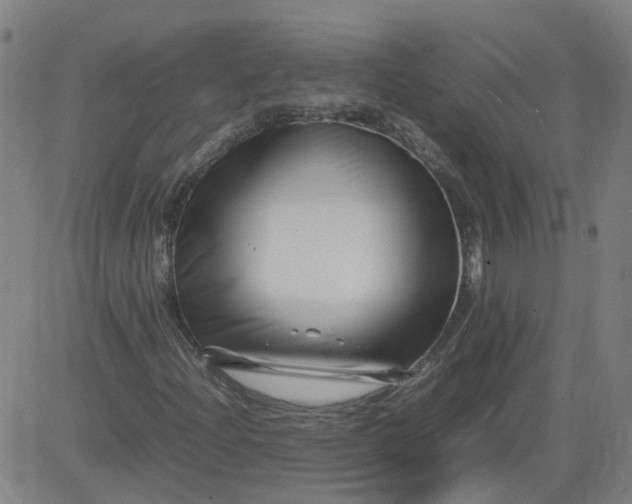 X0000082751204200702091920