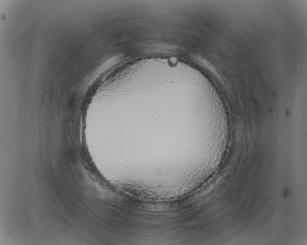 X0000082751219200702091920