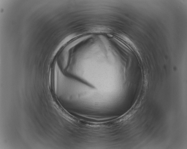 X0000082751227200702091920