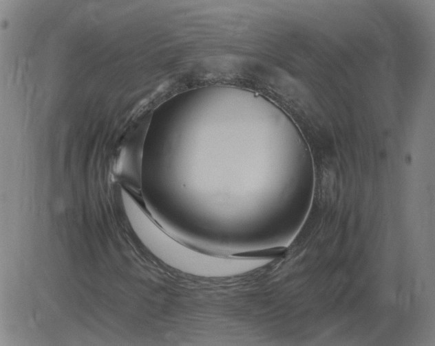 X0000082751250200702091919