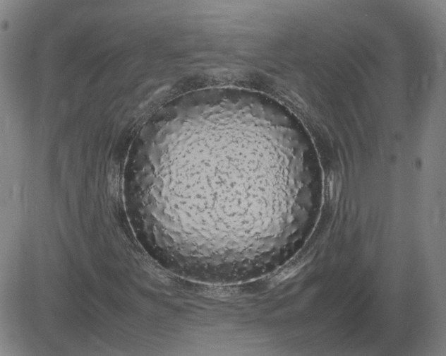 X0000082751251200702091919