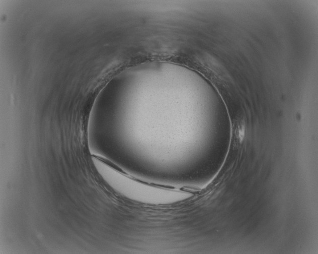 X0000082751252200702091919