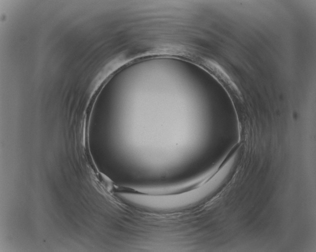 X0000082751276200702091919