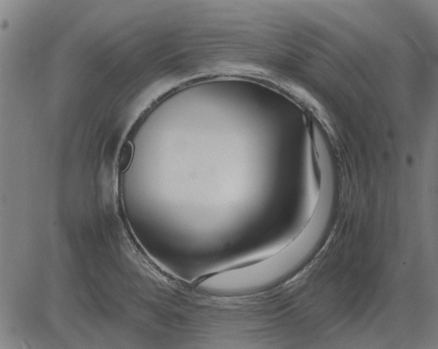 X0000082751280200702091919