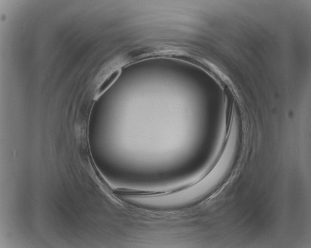 X0000082751281200702091919