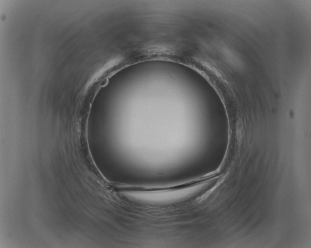 X0000082751309200702091918