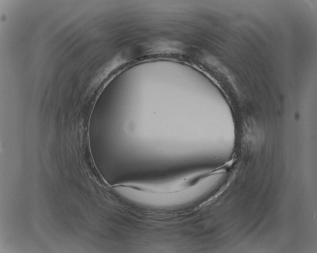 X0000082751313200702091918