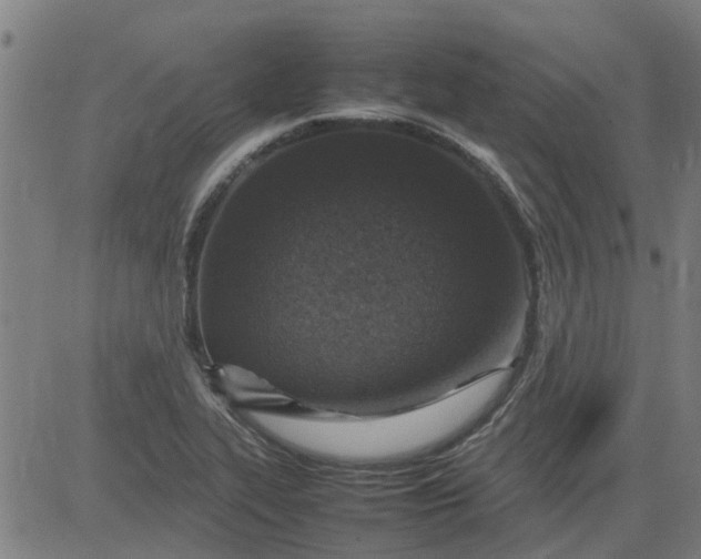 X0000082751319200702091918