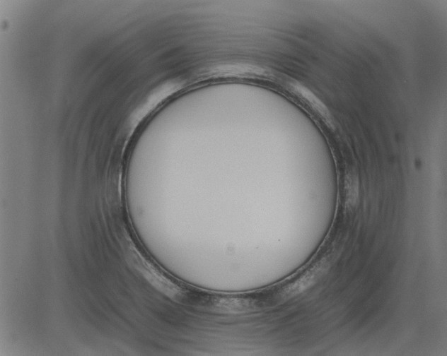 X0000082751322200702091918