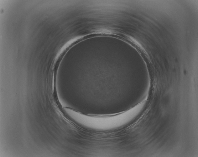 X0000082751323200702091918