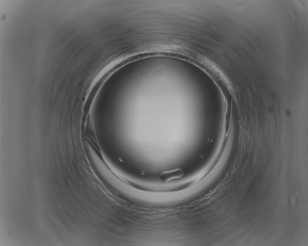 X0000082751324200702091918