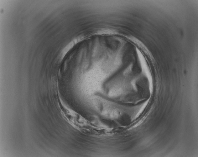 X0000082751337200702091919