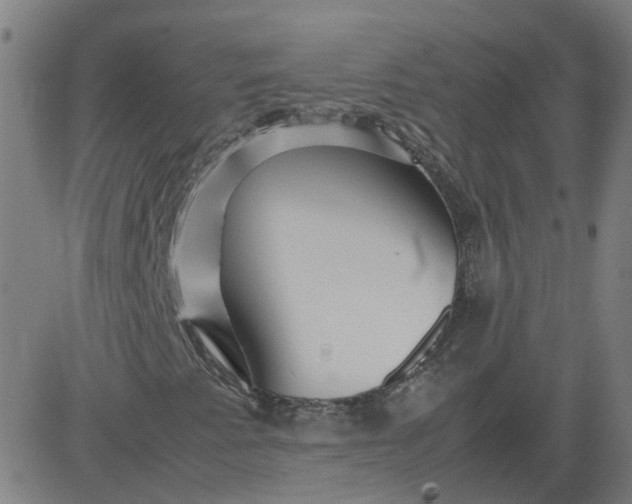 X0000082751345200702091918