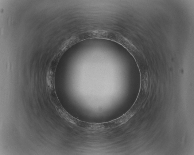 X0000082751346200702091918