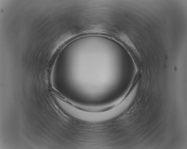 X0000082751356200702091918
