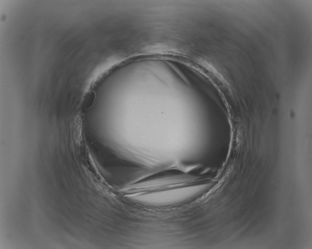 X0000082751358200702091918