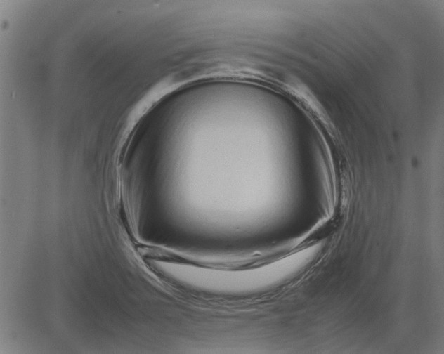 X0000082751371200702091918