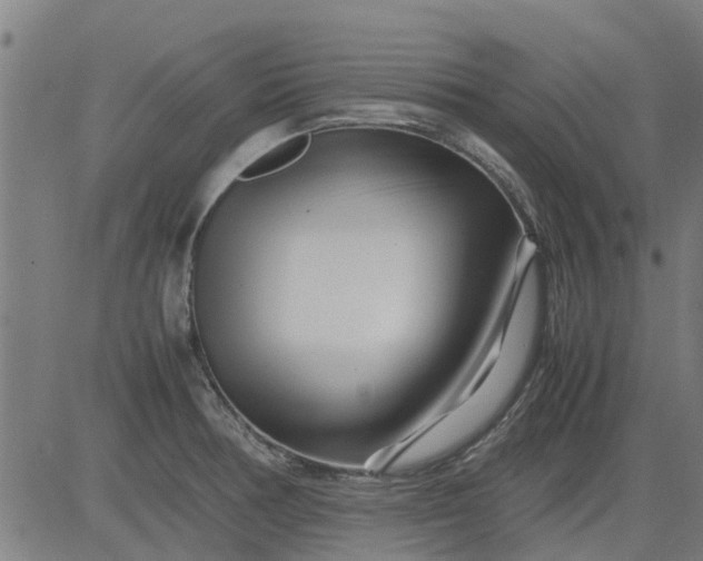 X0000082751378200702091917