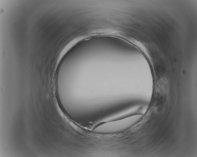X0000082751389200702091917
