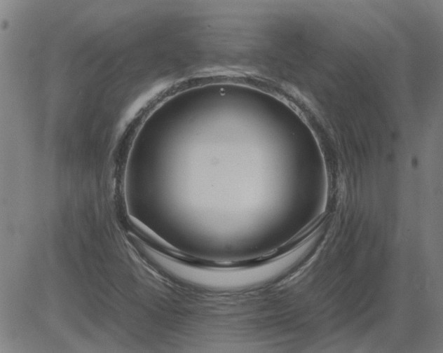 X0000082751406200702091917