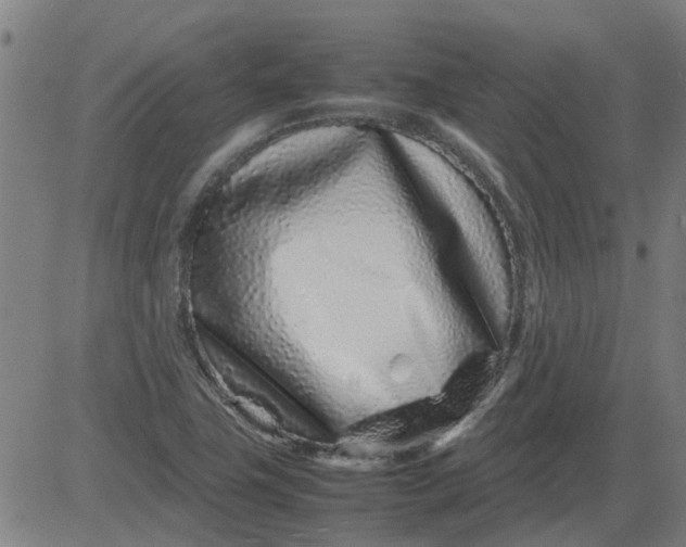 X0000082751411200702091917
