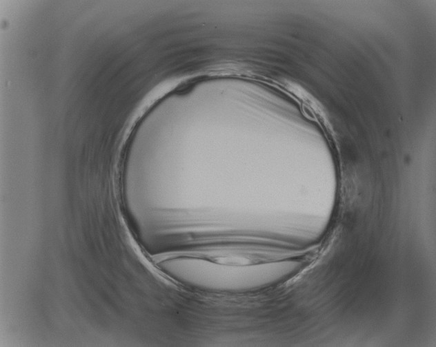 X0000082751429200702091917
