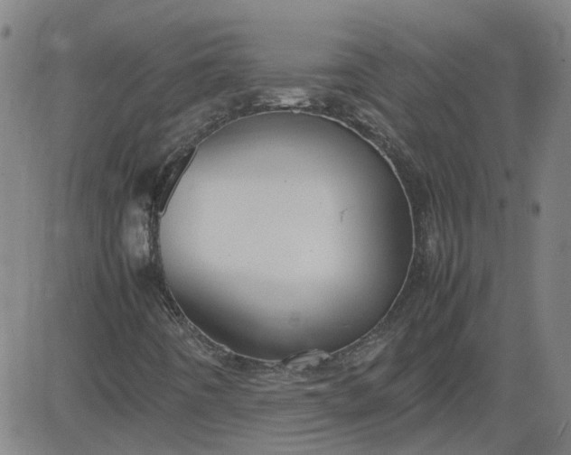 X0000082751442200702091916