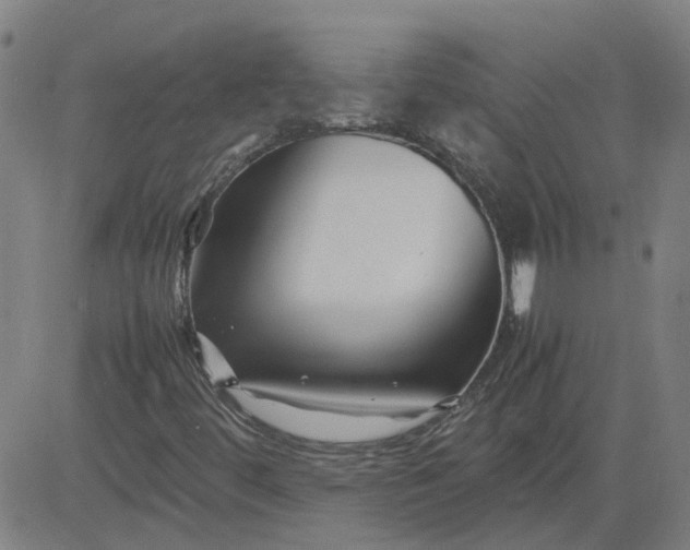 X0000082751444200702091916