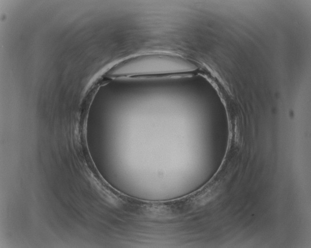 X0000082751452200702091916