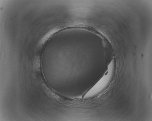 X0000082751455200702091916