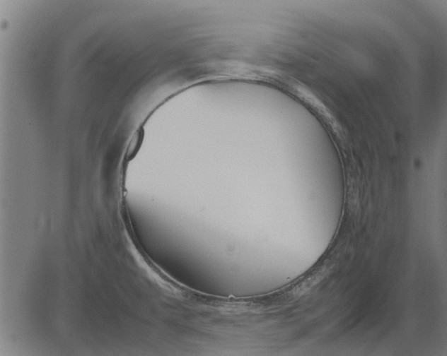 X0000082751479200702091916
