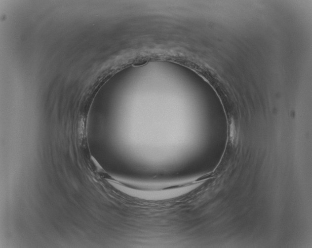 X0000082751492200702091915