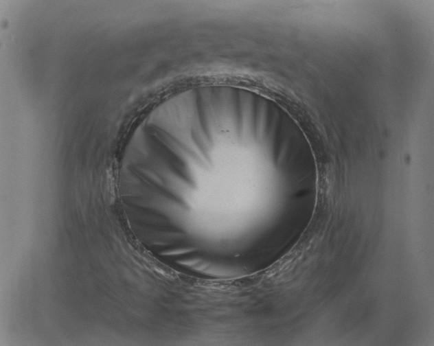 X0000082751493200702091915