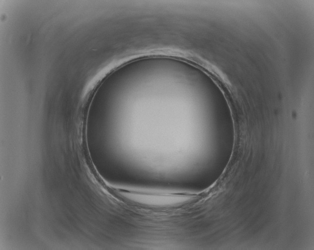 X0000082751504200702091915