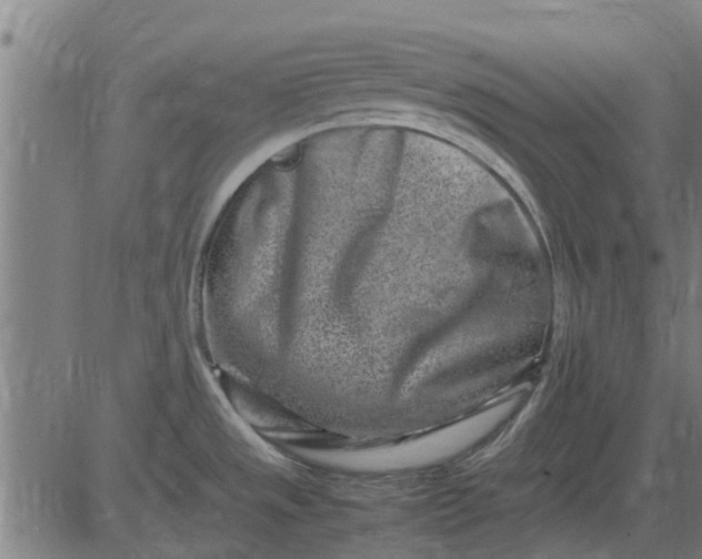 X0000082751533200702091916