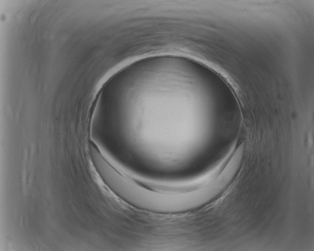 X0000082751534200702091916