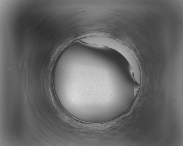 X0000082750001200702162011