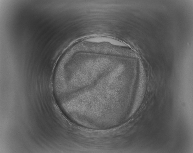 X0000082750002200702162011
