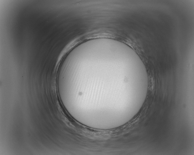 X0000082750004200702162011