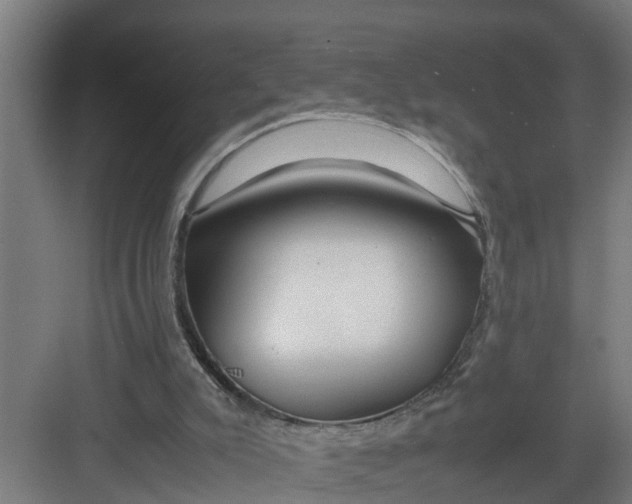 X0000082750007200702162011