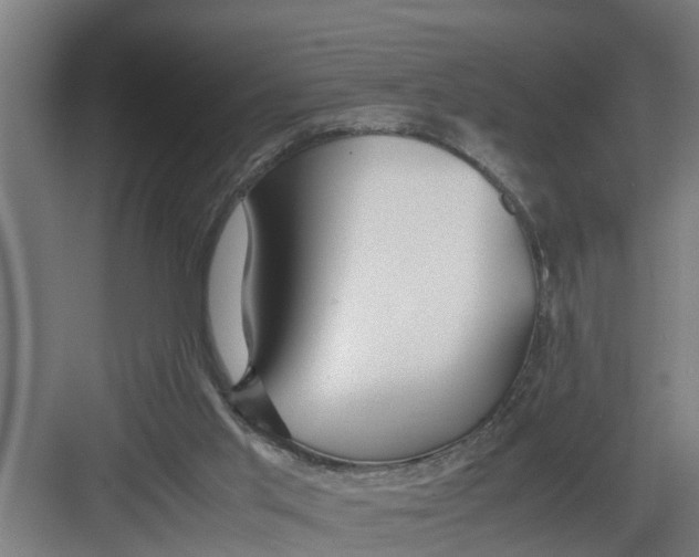 X0000082750013200702162011