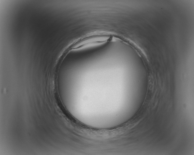 X0000082750015200702162011